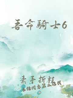 吾命骑士6