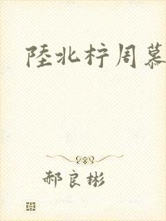 陆北柠周慕深
