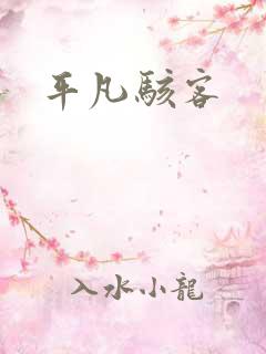 平凡骇客