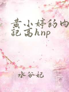 黄小婷的肉欲日记高hnp