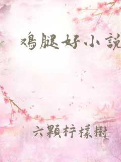 鸡腿好小说网