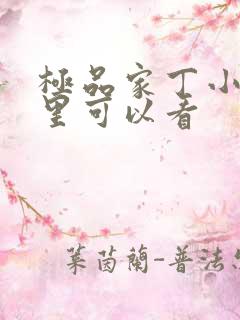 极品家丁小说哪里可以看