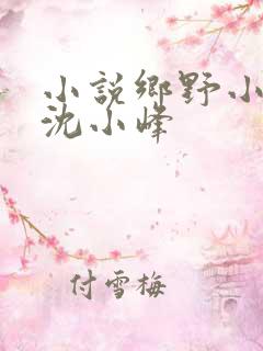 小说乡野小神农沈小峰