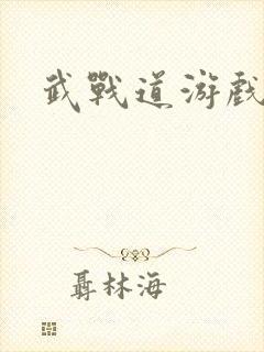 武战道游戏