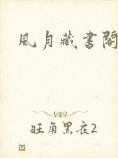 风月藏书阁