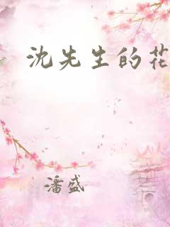 沈先生的花式