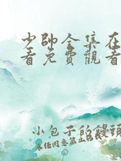 少帅全集在线观看免费观看完整版