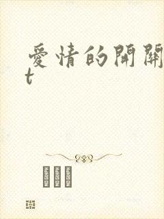爱情的开关txt