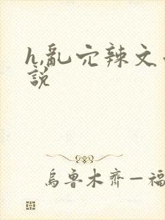 h,乱穴辣文小说