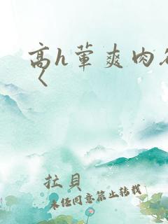 高h荤爽肉欲文〈