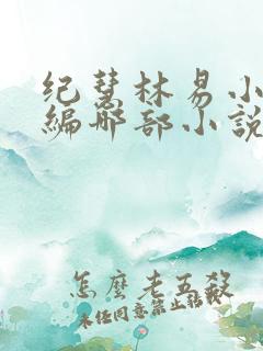 纪慧林易小说改编哪部小说