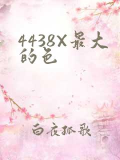 4438X最大的色