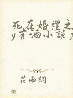 死在婚礼之前by有酒小说免费阅读