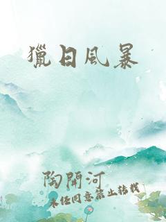 猎日风暴