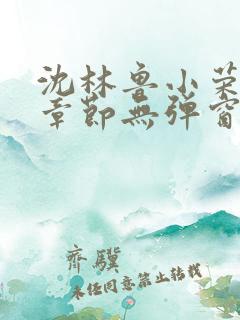 沈林鲁小荣最新章节无弹窗笔趣阁