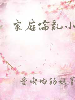 家庭伦乱小说