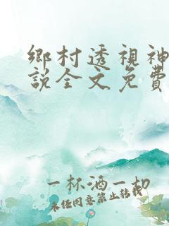 乡村透视神医小说全文免费阅读