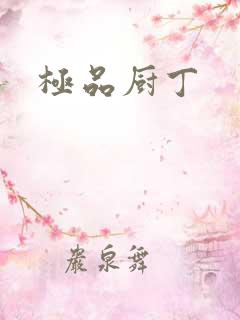 极品厨丁
