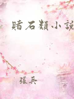 赌石类小说