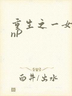 重生之一女九龙nP