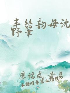 丰丝韵母沈蓉书野笔