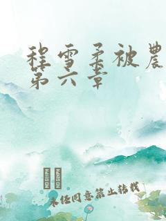 程雪柔被农民工第六章