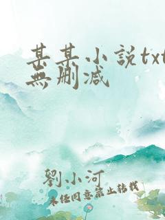 某某小说txt无删减