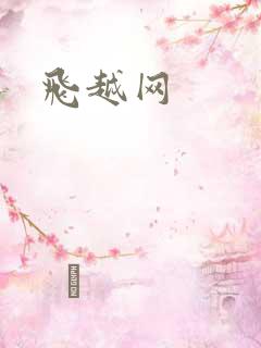 飞越网