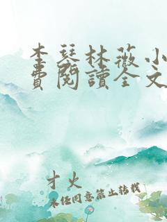 李琴林薇小说免费阅读全文最新章节