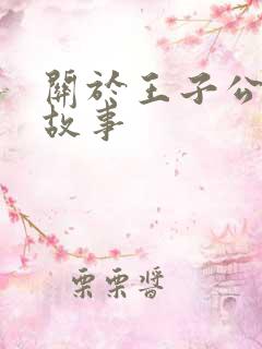 关于王子公主的故事