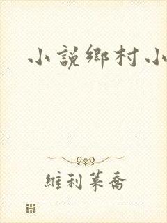 小说乡村小道医