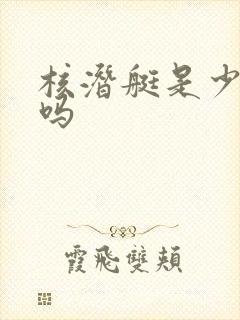 核潜艇是少将级吗