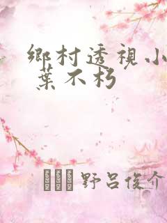 乡村透视小仙医 叶不朽