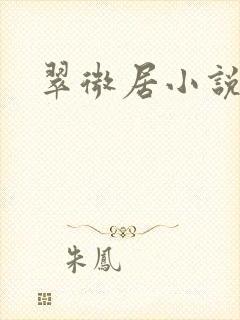 翠微居小说