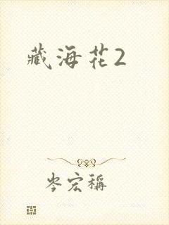 藏海花2