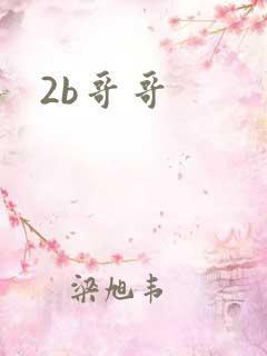 2b哥哥