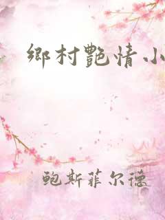 乡村艳情小说