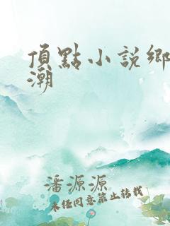 顶点小说乡野欲潮