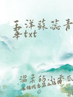 王洋苏蕊青涩年华txt