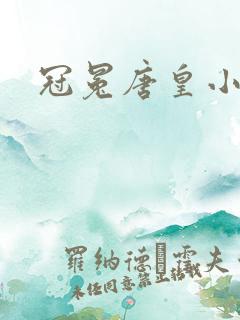 冠冕唐皇小说
