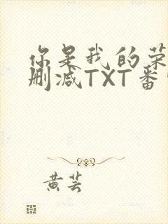 你是我的荣耀未删减TXT番外