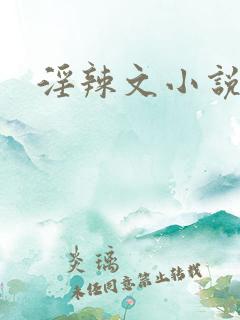 淫辣文小说