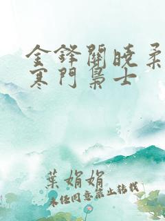 金锋关晓柔小说寒门枭士