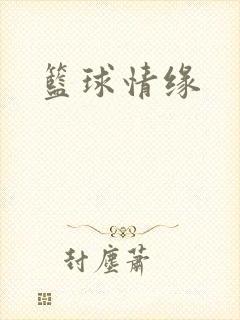 篮球情缘