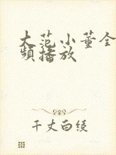 大范小董全部视频播放
