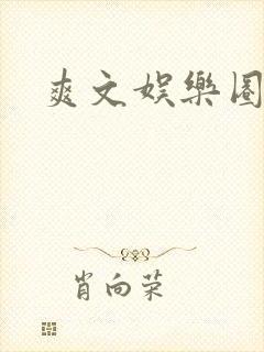 爽文娱乐圈
