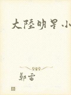 大陆明星小说