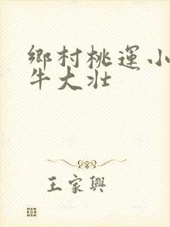 乡村桃运小神医牛大壮