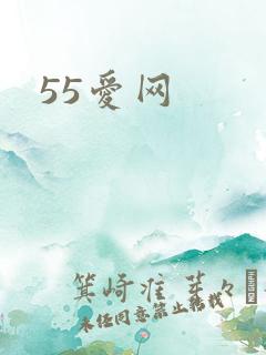 55爱网