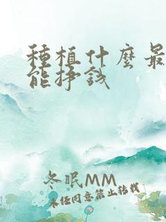 种植什么最快最能挣钱